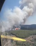 Bodrum'da yangın mı çıktı? (VİDEO) 14 Temmuz Cuma Muğla ve Bodrum'da yangın mı çıktı, yangın nerede çıktı, yangın söndürüldü mü? Son gelişmeler!